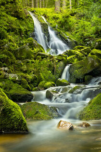 'A beautiful waterfall in the Black Forest 1' von Susanne Fritzsche