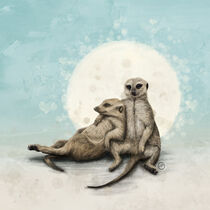 'Happy Together - Meerkats' von Paula  Belle Flores
