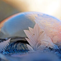 Frozen World, Makrofotografie by Dagmar Laimgruber
