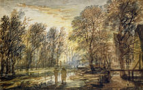Sunset in the Wood  von Aert van der Neer