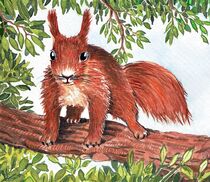 Eichhörnchen by Rita Dresken