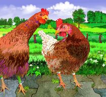 Hühner von Rita Dresken