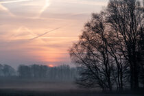 Sonnenaufgang über Moor by Kathrin Wizisk