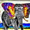 Elephant-butterfly-in-africa-digital-art