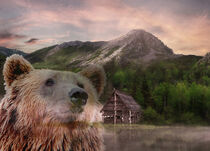 Grizzly Bear and Wilderness von Erika Kaisersot