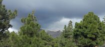 La Palma Vulkan Tajagoite von Birgit Knodt