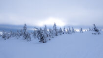 Snowy country near Labska bouda by Tomas Gregor