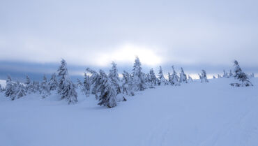 Snowy-country-near-labska-bouda-krkonose-mountains-czech-republic-1