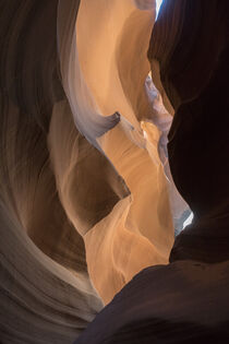Antilope Canyon Spalte von Daniel Rast