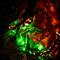 Mirrorworld-the-green-goblin-hqprint-liquid-eye-dot-net