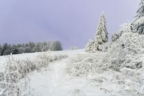 Tief verschneite Winterlandschaft in der Rhön von Holger Spieker