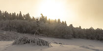 Traumhafte Abendstimmung in schneebedeckter Landschaft by Holger Spieker