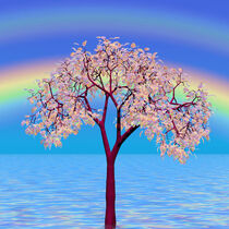 Blossom Tree von Matthew  Lacey