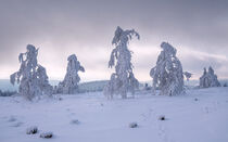 Sauerland - Winter by alfotokunst