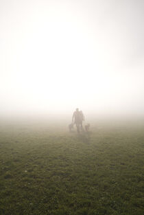 im Nebel by Daniel Rast