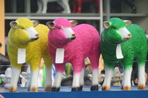 Schafe von Petra Kammler