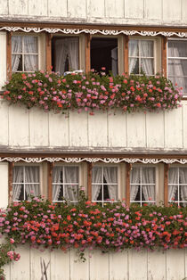 Bauernhaus mit Blumen by Daniel Rast