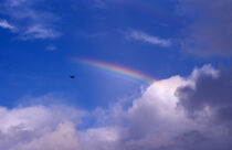 Seaplane and multipl rainbow von David Halperin