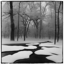 Winter scene  von Jean-Francois  Dupuis