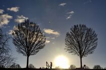 Schattenbäume mit Spaziergänger von Edgar Schermaul