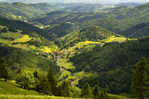Landschaft im Schwarzwald I - Landscape in the Black Forest I von Susanne Fritzsche