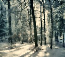 Winter by Ulrich Schweitzer