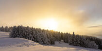 'Wunderschöne Abendstimmung in schneebedeckter Landschaft' von Holger Spieker