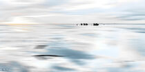 Horse-drawn carriages in the mudflats High_Key_blurred