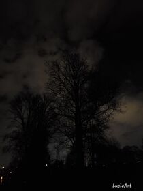 Tree in the dark