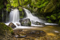 A small waterfall in the Black Forest I by Susanne Fritzsche