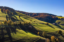 Münstertal im Schwarzwald im Herbst von dieterich-fotografie
