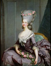 Marie-Therese de Savoie-Carignan  by Antoine Francois Callet