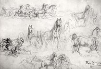Study of Horses  by Rosa Bonheur