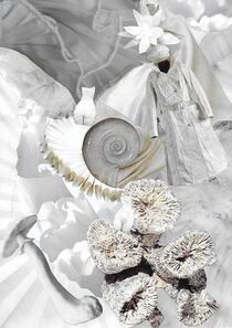White spiral obsession by Rita Rozynek