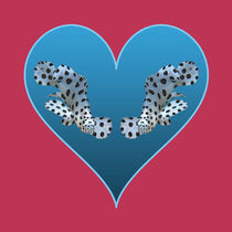 Zackenbarsch - Blaues Herz | Design - Magenta Hintergrund