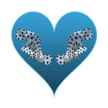 Zackenbarsch - Blaues Herz | Design - Weißer Hintergrund
