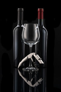 Weinflaschen Duo mit Weinbesteck by Thomas Klee