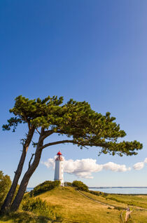Leuchtturm Dornbusch auf der Insel Hiddensee by dieterich-fotografie