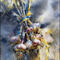 Art-793-garlic-with-ribbon