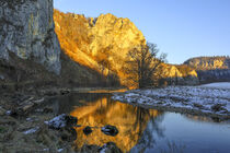 Uferlandschaft Donau mit Kalksteinfelsen bei Fridingen - Naturpark Obere Donau von Christine Horn