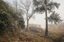 'Burgruine Mägdeberg - ein Tag im Februar mit Nebel und Raureif' von Christine Horn