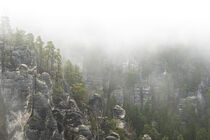 Sandsteinfelsenwelt im Nebel by Holger Spieker