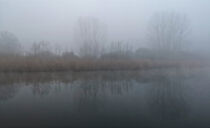 Ufer versunken im Nebel