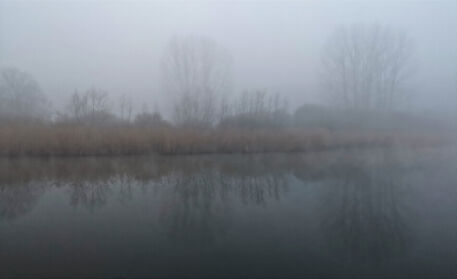Ufer-versunken-im-nebel