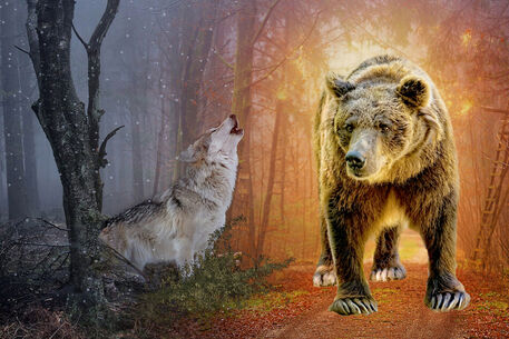 Mystic-animals-wolf-and-bear-af