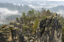 Felsenwelt in der Sächsischen Schweiz von Holger Spieker