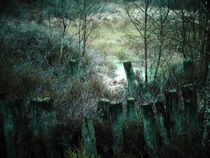  Moorgras, die alten Pfähle harren aus... von Andrea Kasper