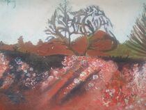 Beech bush and tree by Sarah K Murphy