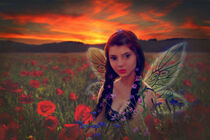 Fairy watching Sunset in a field of poppies Fantasy Art von Sandy Richter