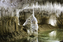 Choranche Cave von Werner Roelandt